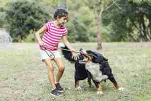 dog bite lawyer bozeman