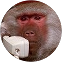 Laurence Stinson profile picture